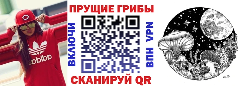 Галлюциногенные грибы MAGIC MUSHROOMS  omg ТОР  Волжский 